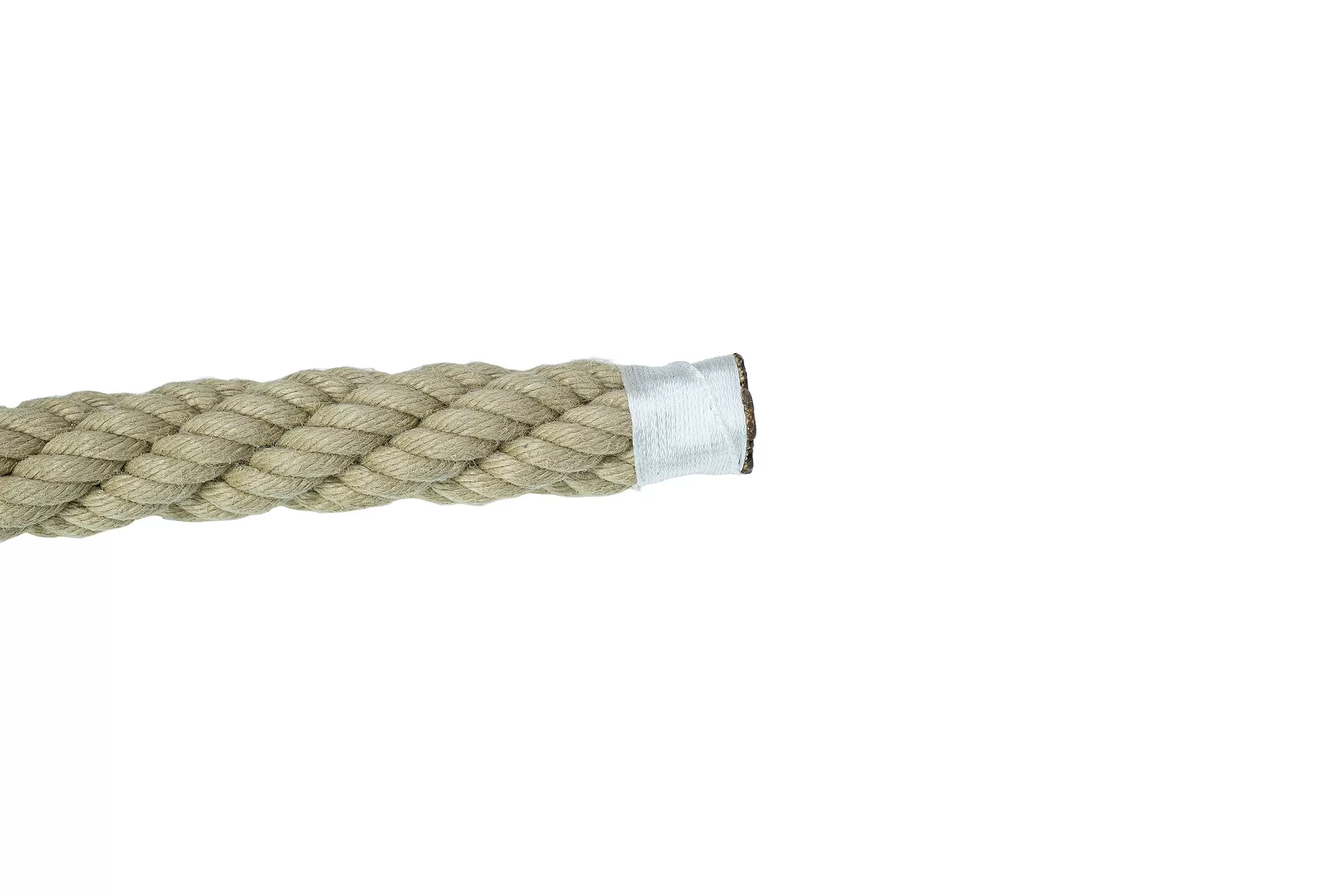 553_1_1729608189