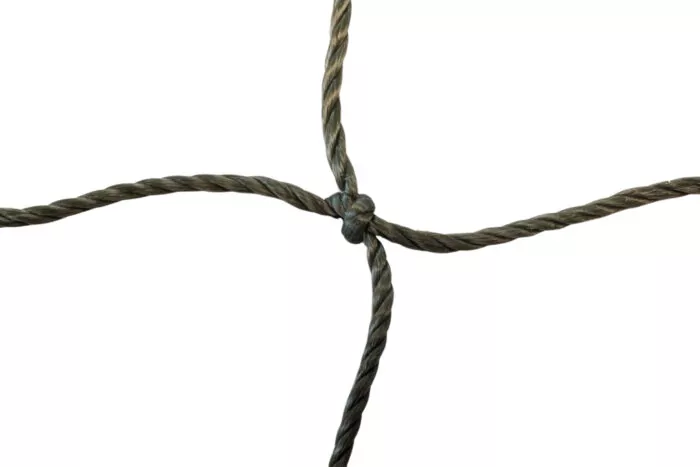 Katzenschutznetz