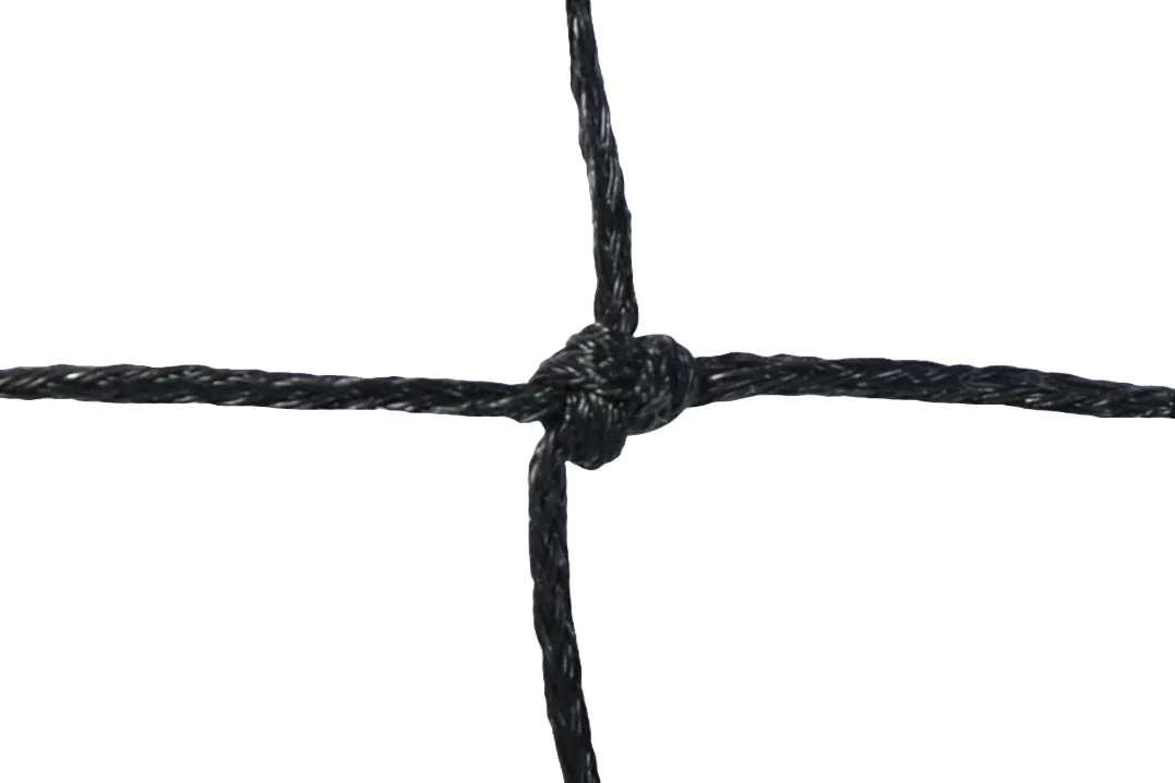 4002-20030-02-0