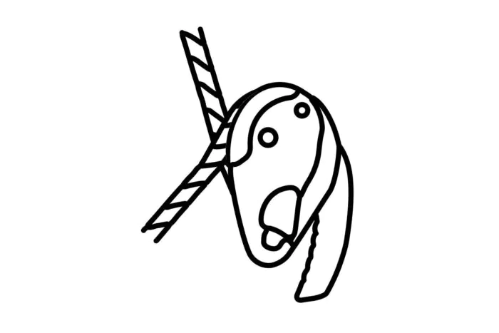 Abseilgeräte