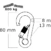 Karabiner INOX mit Auge und Schraubsicherung